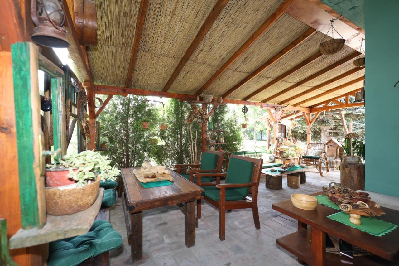 Bed and Breakfast Etno Kuca Teodora Stajicevo Экстерьер фото